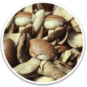 Dika Nut (African Mango Seed) Alpilean Ingredient